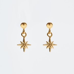 Kolczyki pozłacane SKY