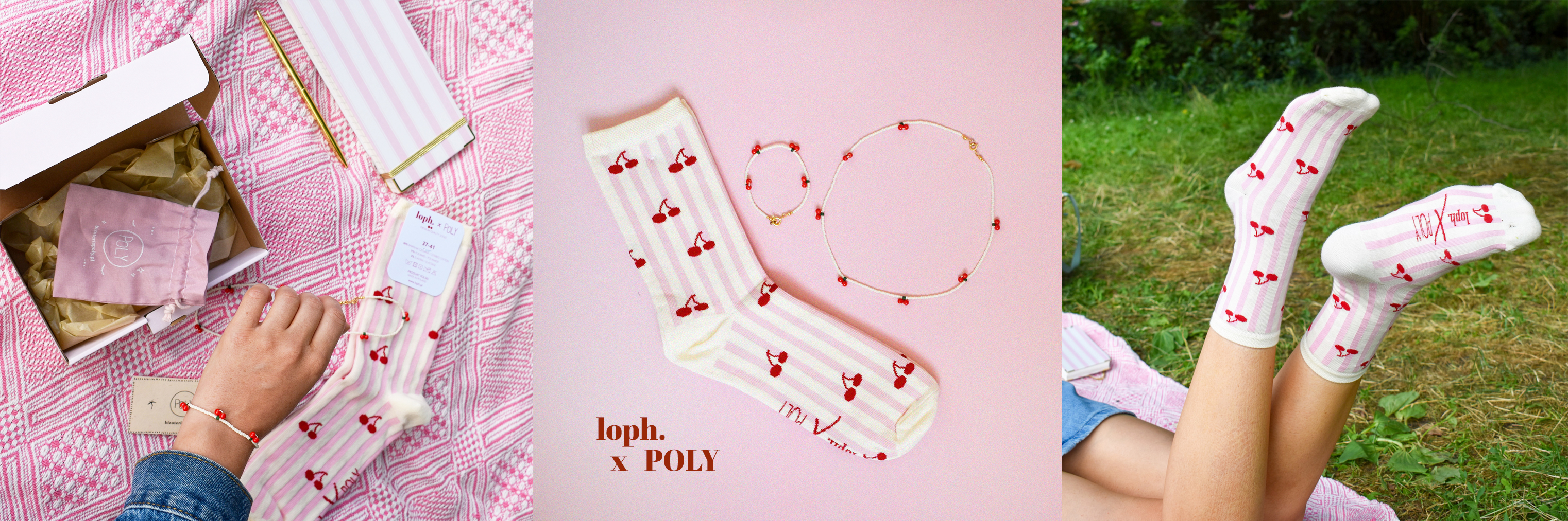 Loph. x POLY
